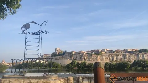 amaneceres zamora  (4)