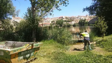 Limpieza río-2