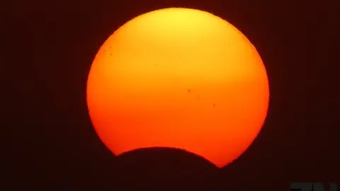 1aa9ecd3b33643d81cdf6fadca21741f_XL