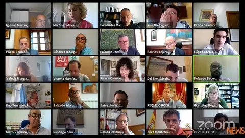 Pleno telemático de la Diputación