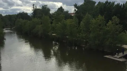 Paseo de los Tres Árboles