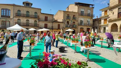 Iniciativa "Engalana Fermoselle"