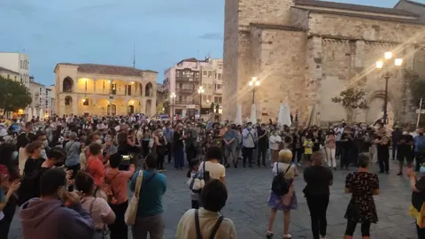 Concentración contra la violencia vicaria en Zamora