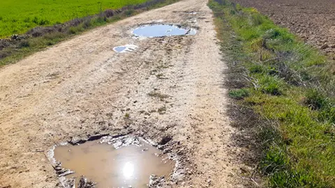 Aspecto que presentan algunos de los caminos en Benavente. Fotografía: Interbenavente.es