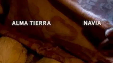 2021almatierra