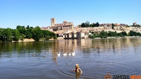 zamora playa pelambres