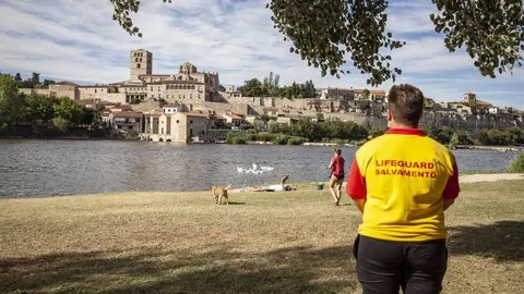 socorrista Pelambres