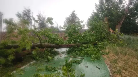 02e5c5dd-c6c7-4476-be84-27bb47edfee3