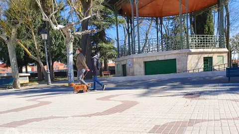 Fotografía: Interbenavente