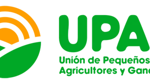 upa zamora