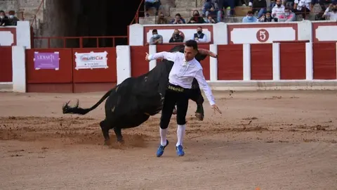 cortes goyescos (1)