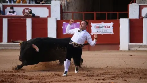 cortes goyescos (5)