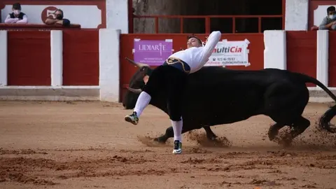 cortes goyescos (7)