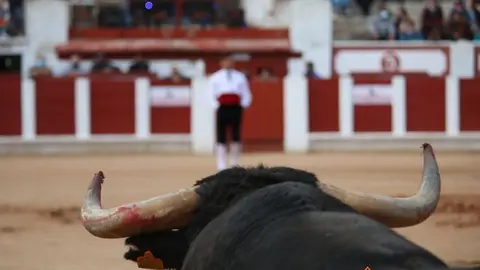 cortes goyescos (9)