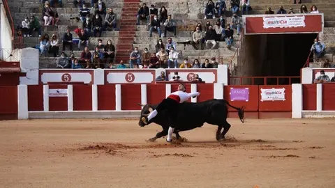 cortes goyescos (10)