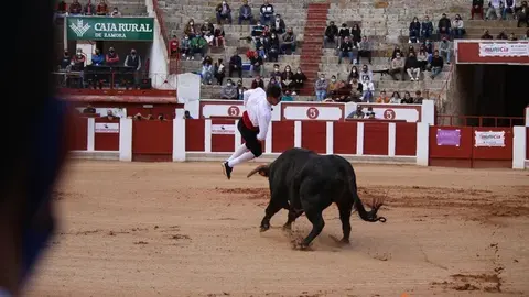 cortes goyescos (12)