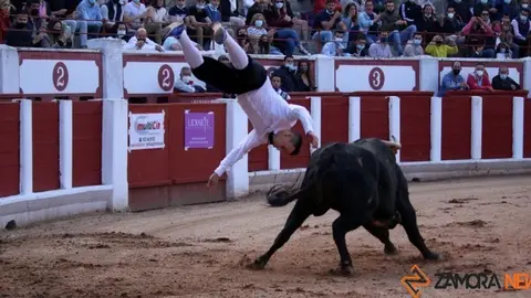 cortes goyescos (14)