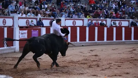 cortes goyescos (21)