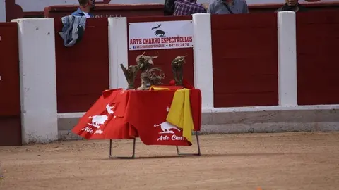 cortes goyescos (23)
