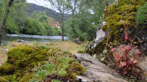 piraguas león Sabero alejico aguas bravas (62)