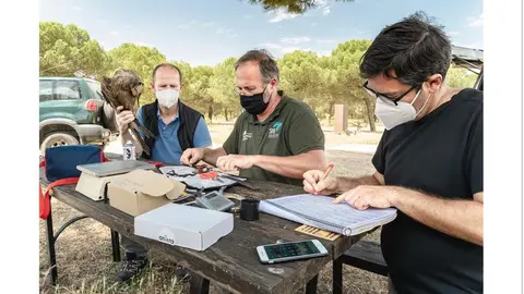 El delegado de Iberdrola en CyL, Miguel Calvo, en el marcaje de milano negro en Tordesillas (Valladolid) I