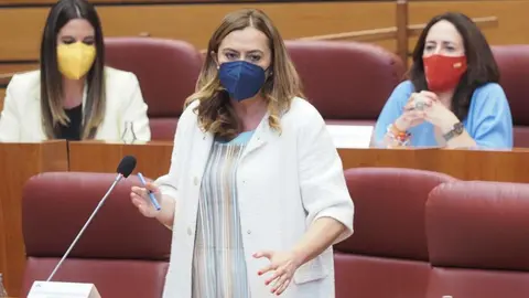 La viceportavoz del Grupo Parlamentario Socialista, Virginia Barcones