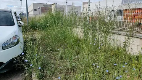 4fefe7a7-543c-421f-9ffc-5e6b708de92f