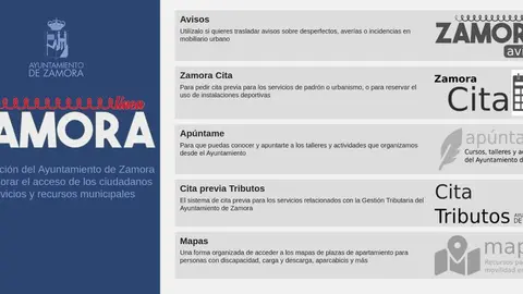 Página Línea Zamora