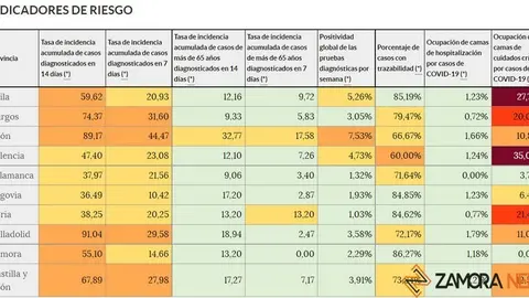 Indicadores de riesgo en Castilla y León