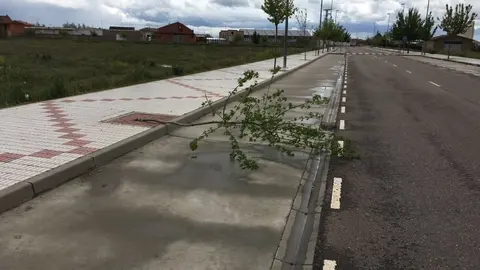 Camino de CastroPepe