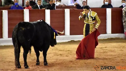 toros14