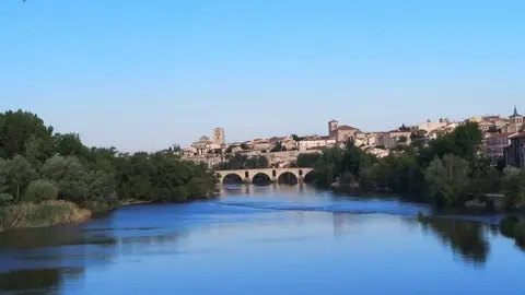 zamora buenos días paseo matutino  (35)