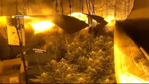 06b462e7-11a2-4e52-88fa-e5d1c3586561