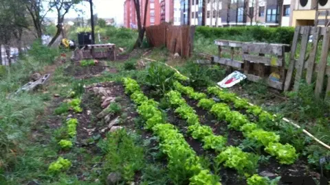 El huerto urbano "Sorfresas te da la vida" en la vieja vía de la Ruta de la Plata, junto a la Ciudad Deportiva. 
Fotografía de archivo.