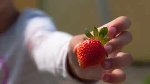 Fotografía de archivo infancia