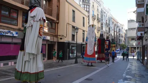 capitonis durii  (52)