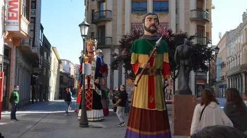 capitonis durii  (65)