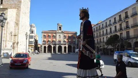 capitonis durii  (67)