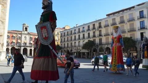 capitonis durii  (74)