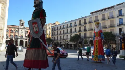 capitonis durii  (75)