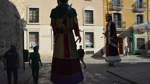 capitonis durii  (80)