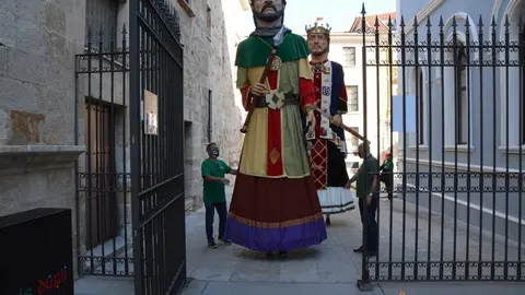 capitonis durii  (83)