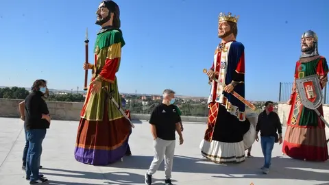 capitonis durii  (95)