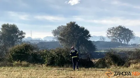 fuego moralina