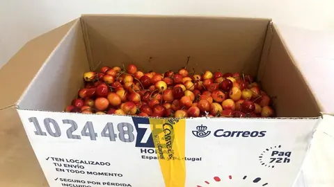 CAJA DE CEREZAS