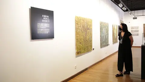 iberoamericana Toro (4)
