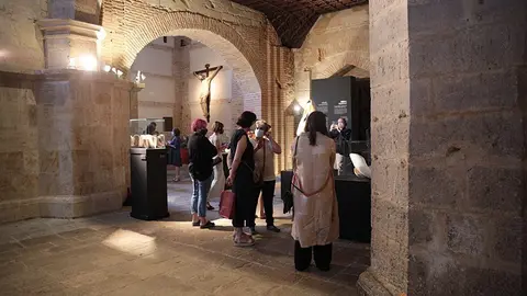 iberoamericana Toro (25)