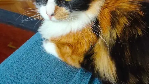 7b72d9af-da05-4d58-8395-2b8bdb14fb93