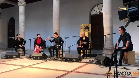 palacio condes de Requeña toro flamenco