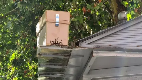 f6d60222-97b7-455f-bfc9-90596152ff15